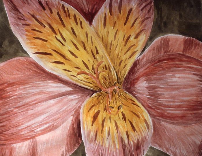 Watercolor close-up of an alstroemeria lily
