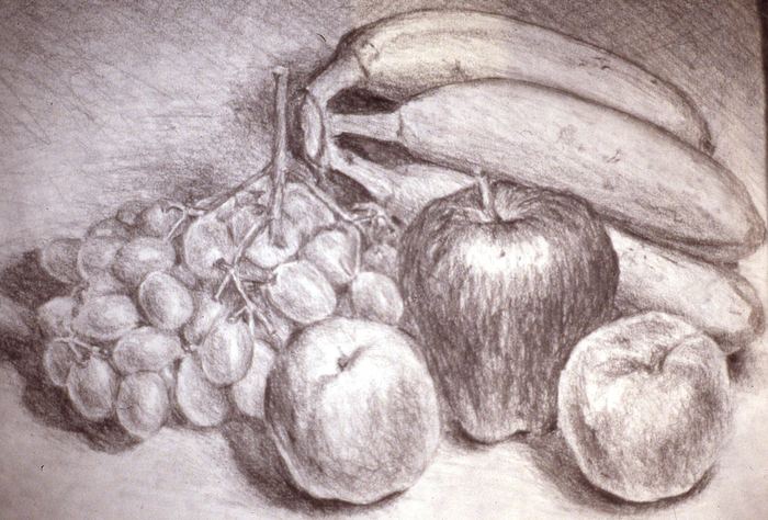Pencil still life of grapes, apples, and bananas