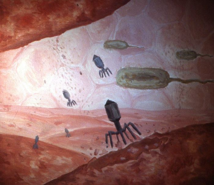 Painting of bacteriophages descending onto a cellular landscape