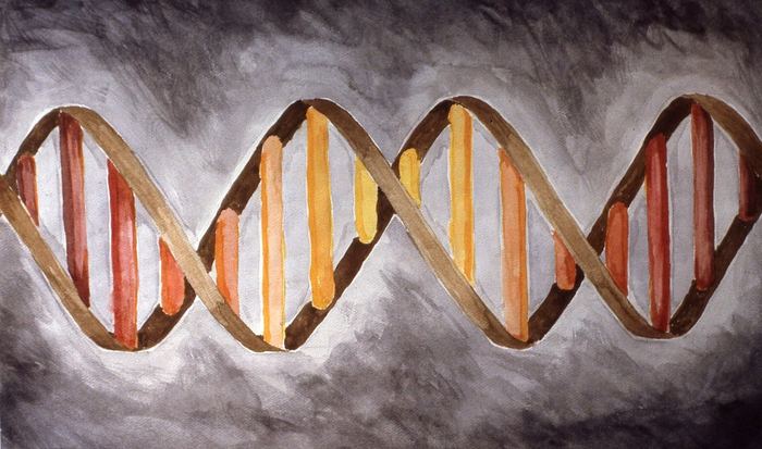 Watercolor of a DNA double helix